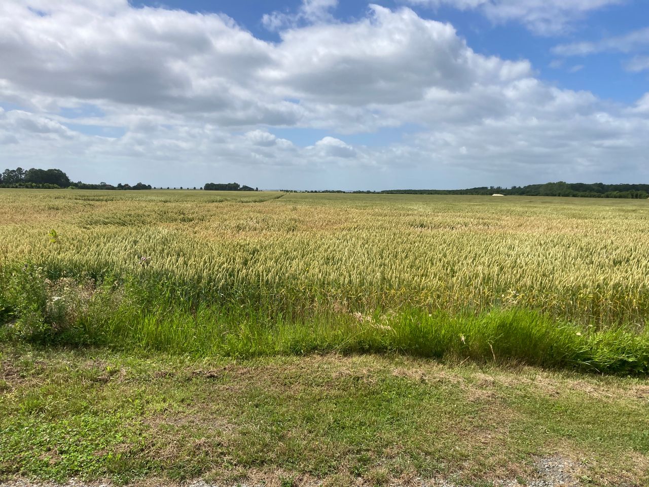 image 04